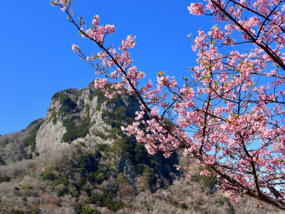 城山と桜