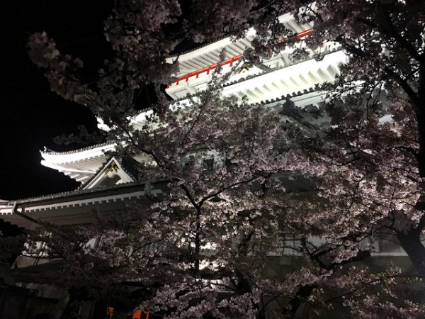 熱海城桜まつり
