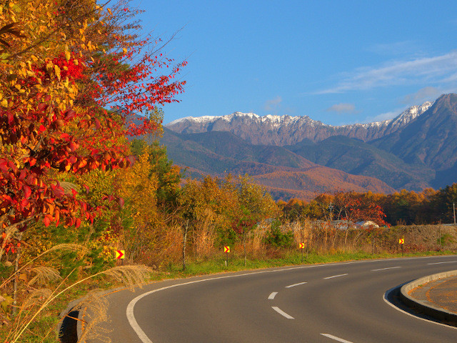 秋色めく紅葉 ビーナスライン 白樺湖ビューホテル 公式サイト 白樺湖観光旅行 伊東園ホテルズ