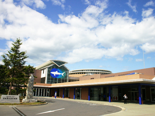 サメが有名な水族館です。