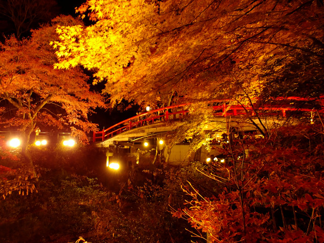 油屋 旅館 ホテル 紅葉