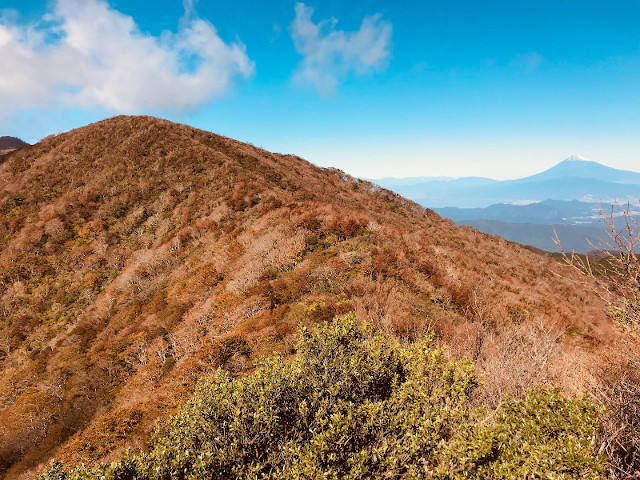 澄んだ秋晴れの日には富士山もセットで(11月6日の様子)