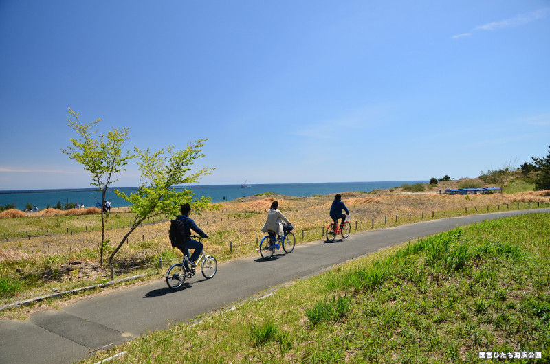 移動はやっぱり自転車が便利。園内には4か所のサイクリングセンターがあります。