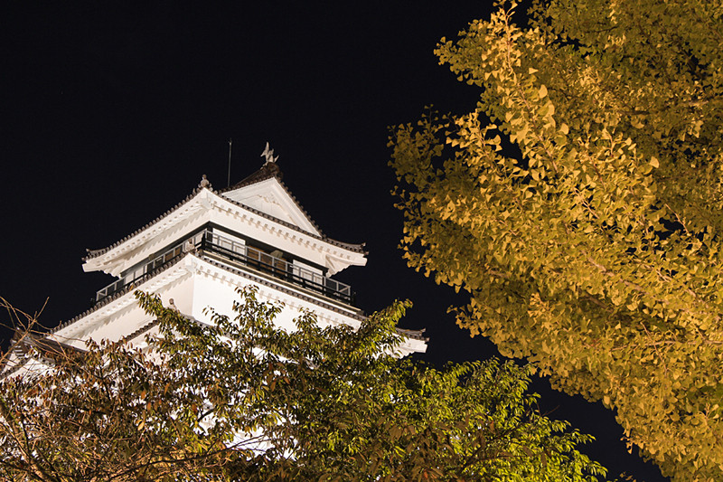 大きな銀杏の木と鶴ヶ城