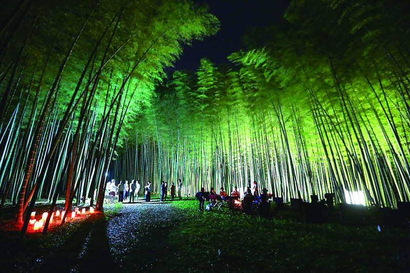 幻想的な竹林ライトアップ
