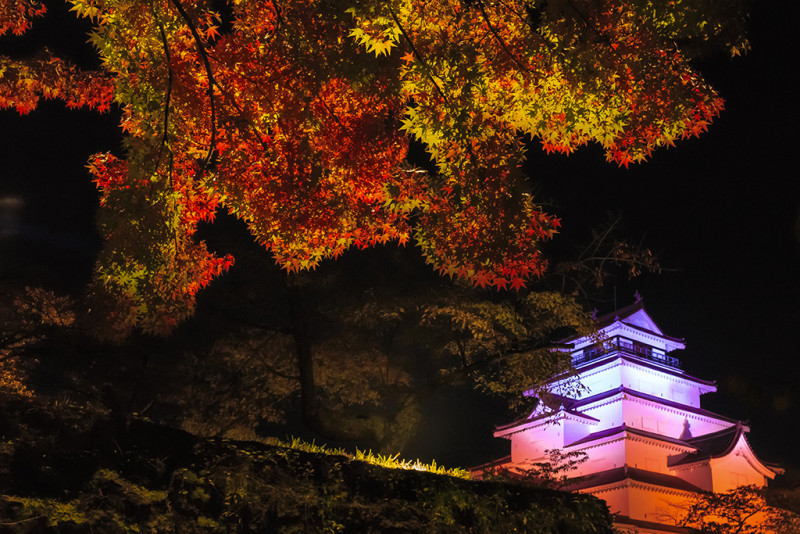 色鮮やかな紅葉とライトアップされた鶴ヶ城