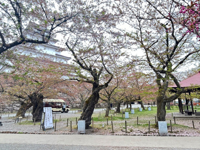 現在の鶴ヶ城公園の様子です。※2023年4月14日(金)撮影