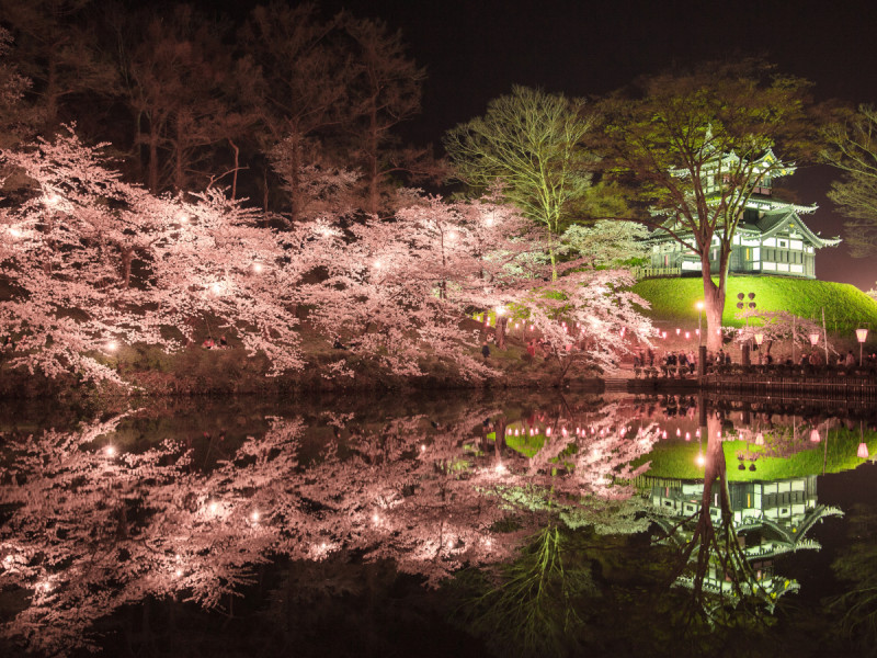 日本三大夜桜で知られております