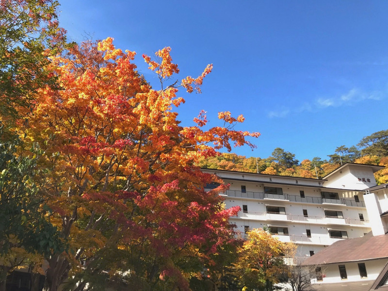秋の湯西川温泉
