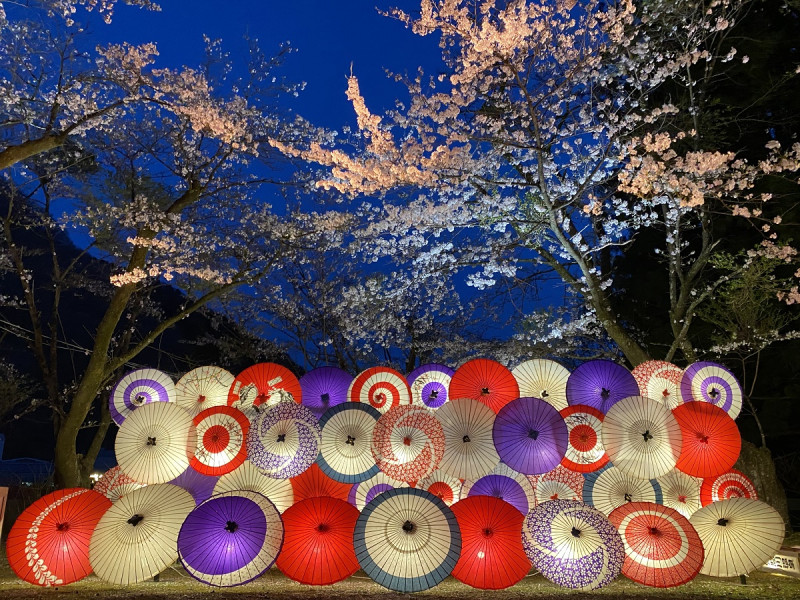 鬼怒川護国神社の夜桜ライトアップ（2021年4月5日）