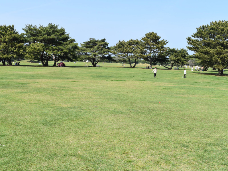 広々とした大草原。ボール遊びをしたり、ピックニックをしたり、家族や友達と思いっきり遊べます。