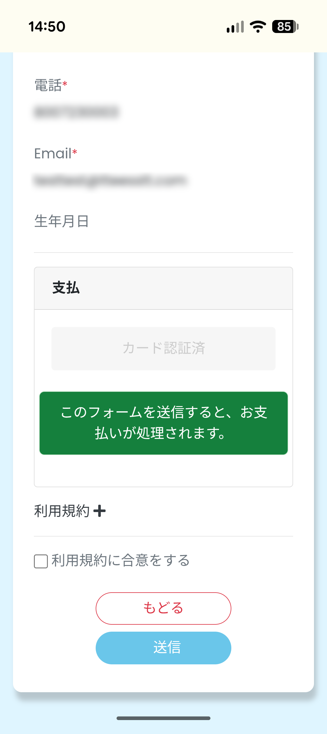 最終確認画面。利用規約に合意するにチェックを入れて送信ボタンを押す
